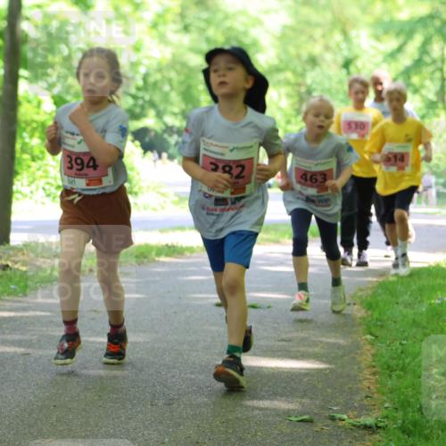 17.05.2025 - Störlauf Strokosch-Dieckow http://msf.ph/oto/7849859 17.05.2025 13:56:15 Laufen 394, 282, 463, 14, 607 meine-sportfotos.de
