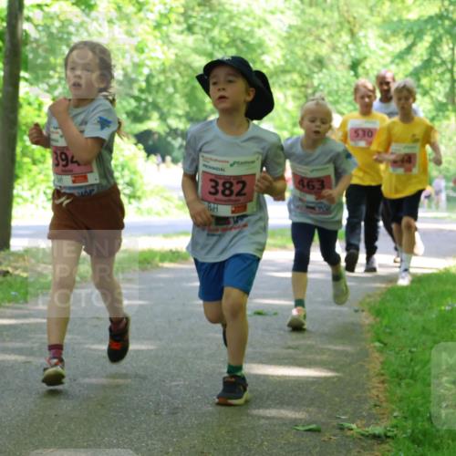 17.05.2025 - Störlauf Strokosch-Dieckow http://msf.ph/oto/7849861 17.05.2025 13:56:15 Laufen 530, 394, 382, 463 meine-sportfotos.de