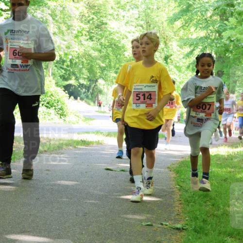 17.05.2025 - Störlauf Strokosch-Dieckow http://msf.ph/oto/7849863 17.05.2025 13:56:18 Laufen 66, 514, 18, 607, 602, 549 meine-sportfotos.de