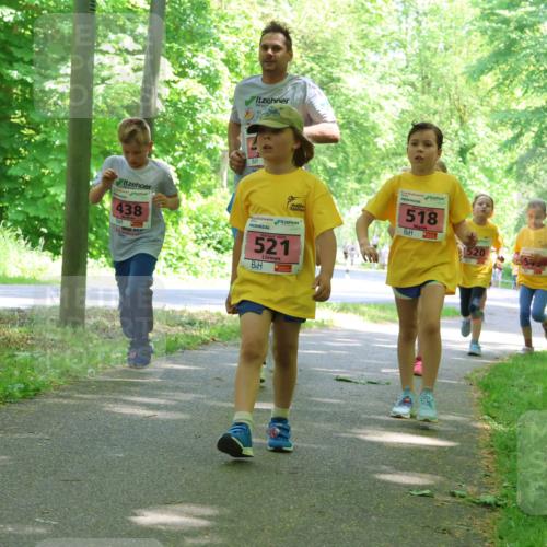 17.05.2025 - Störlauf Strokosch-Dieckow http://msf.ph/oto/7849882 17.05.2025 13:56:23 Laufen 438, 2025, 521, 518, 520 meine-sportfotos.de