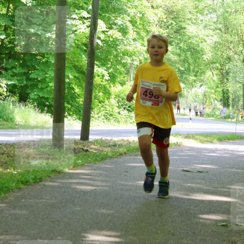 17.05.2025 - Störlauf Strokosch-Dieckow http://msf.ph/oto/7849901 17.05.2025 13:56:29 Laufen 496 meine-sportfotos.de