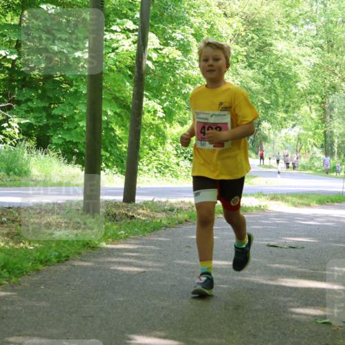 17.05.2025 - Störlauf Strokosch-Dieckow http://msf.ph/oto/7849906 17.05.2025 13:56:29 Laufen 409 meine-sportfotos.de