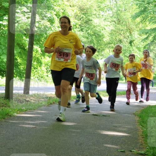 17.05.2025 - Störlauf Strokosch-Dieckow http://msf.ph/oto/7849911 17.05.2025 13:56:37 Laufen 519, 527, 583, 578, 380, 465 meine-sportfotos.de