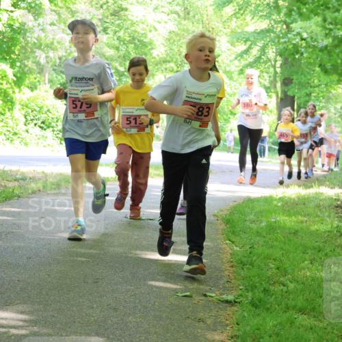 17.05.2025 - Störlauf Strokosch-Dieckow http://msf.ph/oto/7849930 17.05.2025 13:56:39 Laufen 2025, 578, 579, 51, 20, 83, 380, 465 meine-sportfotos.de