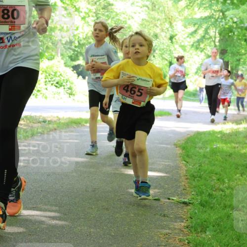 17.05.2025 - Störlauf Strokosch-Dieckow http://msf.ph/oto/7849939 17.05.2025 13:56:44 Laufen 2025, 380, 2025, 465 meine-sportfotos.de