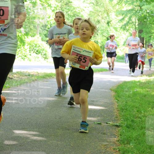 17.05.2025 - Störlauf Strokosch-Dieckow http://msf.ph/oto/7849944 17.05.2025 13:56:45 Laufen 2025, 380, 2, 2025, 65, 428, 419 meine-sportfotos.de