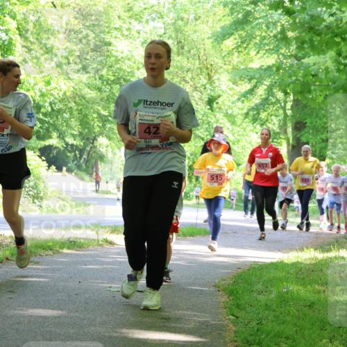 17.05.2025 - Störlauf Strokosch-Dieckow http://msf.ph/oto/7849953 17.05.2025 13:56:49 Laufen 41, 42, 515, 657, 540 meine-sportfotos.de