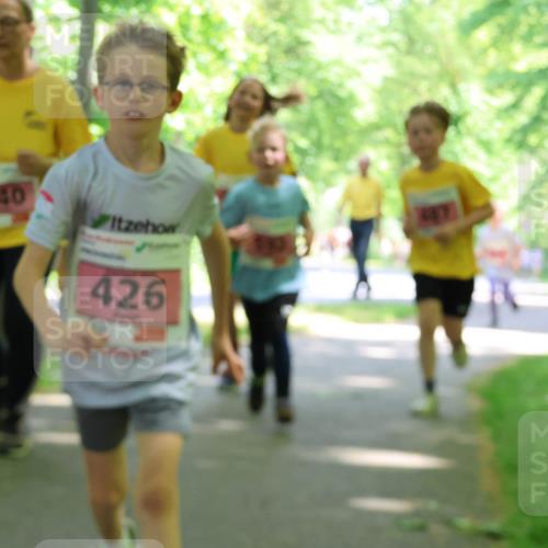 17.05.2025 - Störlauf Strokosch-Dieckow http://msf.ph/oto/7850001 17.05.2025 13:56:59 Laufen 540, 426 meine-sportfotos.de