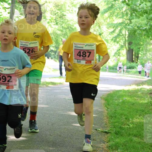 17.05.2025 - Störlauf Strokosch-Dieckow http://msf.ph/oto/7850012 17.05.2025 13:57:01 Laufen 2025, 600, 2025, 592, 2025, 526, 2025, 487 meine-sportfotos.de