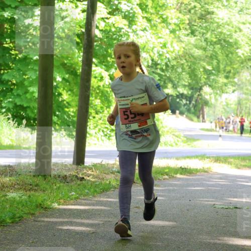 17.05.2025 - Störlauf Strokosch-Dieckow http://msf.ph/oto/7850022 17.05.2025 13:57:05 Laufen 55 meine-sportfotos.de