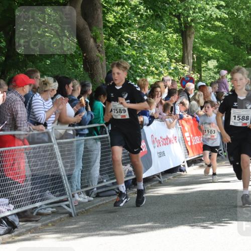 17.05.2025 - Störlauf Strokosch-Dieckow http://msf.ph/oto/7850080 17.05.2025 14:42:52 Ziel 1589, 1103, 1588, 1116, 135 meine-sportfotos.de