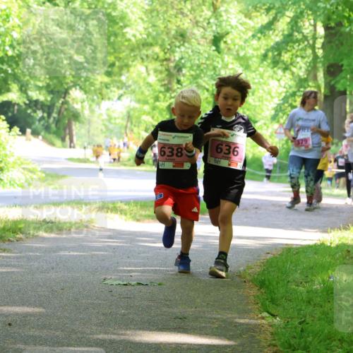 17.05.2025 - Störlauf Strokosch-Dieckow http://msf.ph/oto/7850081 17.05.2025 13:57:36 Laufen 202, 638, 636, 379, 576 meine-sportfotos.de