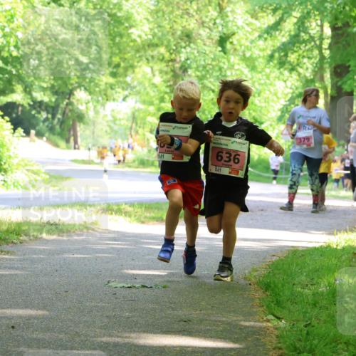 17.05.2025 - Störlauf Strokosch-Dieckow http://msf.ph/oto/7850083 17.05.2025 13:57:36 Laufen 636, 379, 577 meine-sportfotos.de
