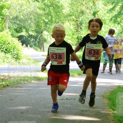 17.05.2025 - Störlauf Strokosch-Dieckow http://msf.ph/oto/7850087 17.05.2025 13:57:37 Laufen 379, 636, 38, 576, 638 meine-sportfotos.de
