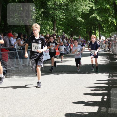 17.05.2025 - Störlauf Strokosch-Dieckow http://msf.ph/oto/7850088 17.05.2025 14:42:54 Ziel 0000, 1589, 1588, 39, 1231, 1116, 1391, 124 meine-sportfotos.de