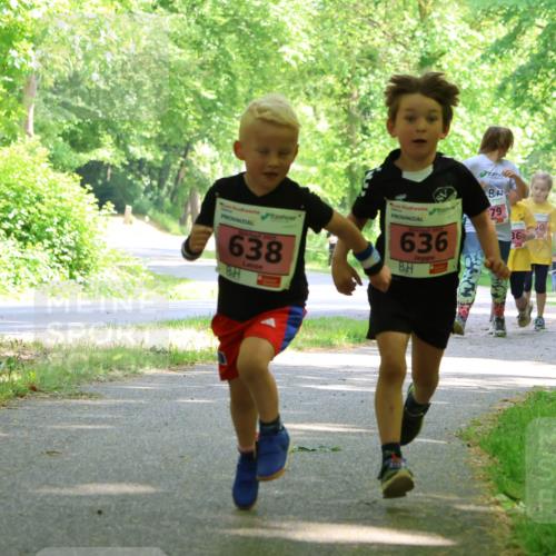 17.05.2025 - Störlauf Strokosch-Dieckow http://msf.ph/oto/7850089 17.05.2025 13:57:37 Laufen 638, 636, 79, 576 meine-sportfotos.de