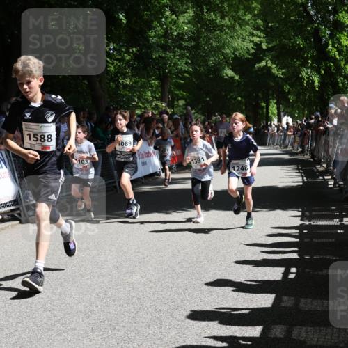 17.05.2025 - Störlauf Strokosch-Dieckow http://msf.ph/oto/7850090 17.05.2025 14:42:54 Ziel 589, 1588, 103, 1089, 1116, 1391, 1248 meine-sportfotos.de