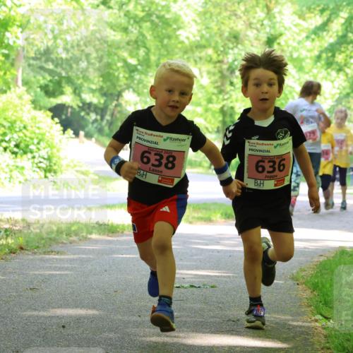 17.05.2025 - Störlauf Strokosch-Dieckow http://msf.ph/oto/7850091 17.05.2025 13:57:37 Laufen 2025, 638, 2025, 636 meine-sportfotos.de