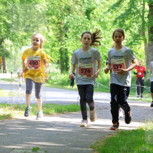 17.05.2025 - Störlauf Strokosch-Dieckow http://msf.ph/oto/7850101 17.05.2025 13:57:41 Laufen 2025, 379, 490, 576, 577, 432 meine-sportfotos.de