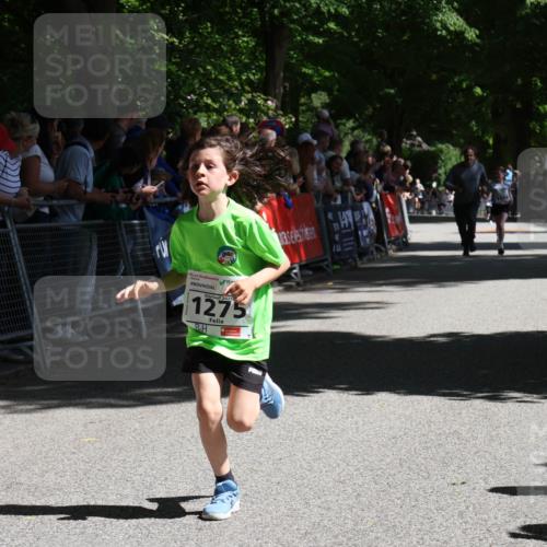 17.05.2025 - Störlauf Strokosch-Dieckow http://msf.ph/oto/7850140 17.05.2025 14:43:12 Ziel 2025, 09, 2025, 1275, 135, 11 meine-sportfotos.de