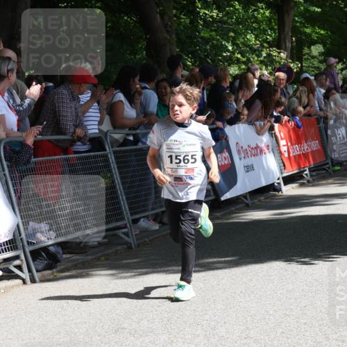 17.05.2025 - Störlauf Strokosch-Dieckow http://msf.ph/oto/7850188 17.05.2025 14:43:41 Ziel 0000, 1565, 31, 40, 1390 meine-sportfotos.de