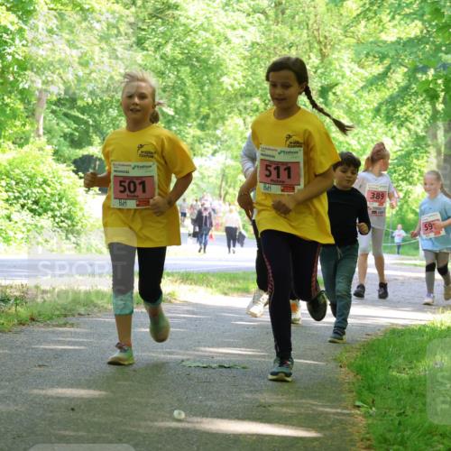 17.05.2025 - Störlauf Strokosch-Dieckow http://msf.ph/oto/7850203 17.05.2025 13:58:14 Laufen 2025, 511, 501, 389, 59, 433 meine-sportfotos.de