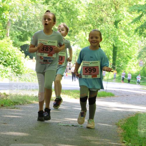 17.05.2025 - Störlauf Strokosch-Dieckow http://msf.ph/oto/7850215 17.05.2025 13:58:18 Laufen 389, 3, 599 meine-sportfotos.de