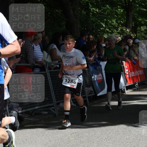 17.05.2025 - Störlauf Strokosch-Dieckow http://msf.ph/oto/7850225 17.05.2025 14:44:07 Ziel 2025, 145, 1286, 1107, 1212, 40 meine-sportfotos.de
