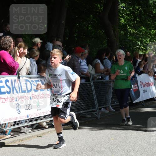 17.05.2025 - Störlauf Strokosch-Dieckow http://msf.ph/oto/7850229 17.05.2025 14:44:08 Ziel 0000, 1286, 1212, 15 meine-sportfotos.de