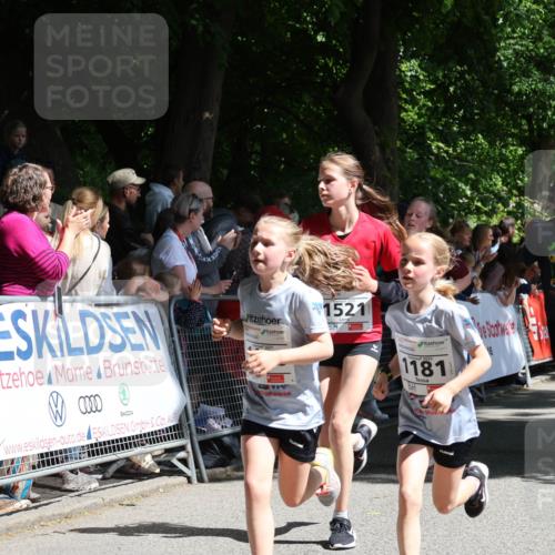 17.05.2025 - Störlauf Strokosch-Dieckow http://msf.ph/oto/7850255 17.05.2025 14:44:16 Ziel 1521, 1181, 137 meine-sportfotos.de