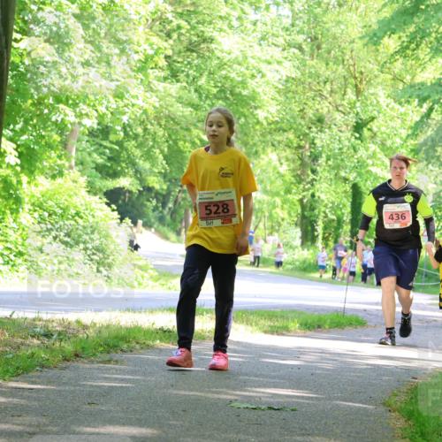 17.05.2025 - Störlauf Strokosch-Dieckow http://msf.ph/oto/7850256 17.05.2025 13:58:43 Laufen 528, 436, 376, 480 meine-sportfotos.de