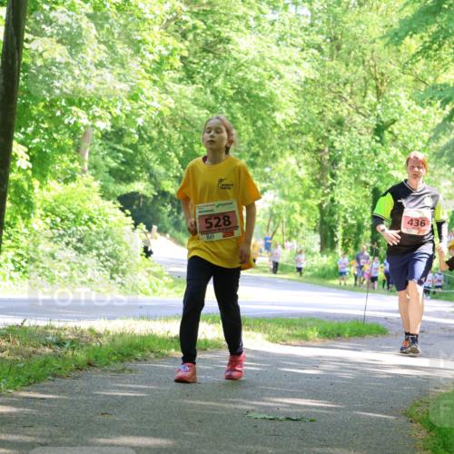 17.05.2025 - Störlauf Strokosch-Dieckow http://msf.ph/oto/7850262 17.05.2025 13:58:43 Laufen 528, 436, 376, 480 meine-sportfotos.de