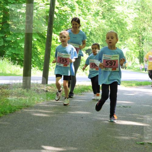 17.05.2025 - Störlauf Strokosch-Dieckow http://msf.ph/oto/7850276 17.05.2025 13:58:52 Laufen 595, 59, 2025, 597, 478, 479 meine-sportfotos.de