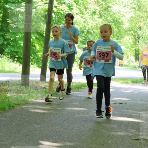 17.05.2025 - Störlauf Strokosch-Dieckow http://msf.ph/oto/7850280 17.05.2025 13:58:52 Laufen 59, 596, 2025, 597, 478, 479 meine-sportfotos.de