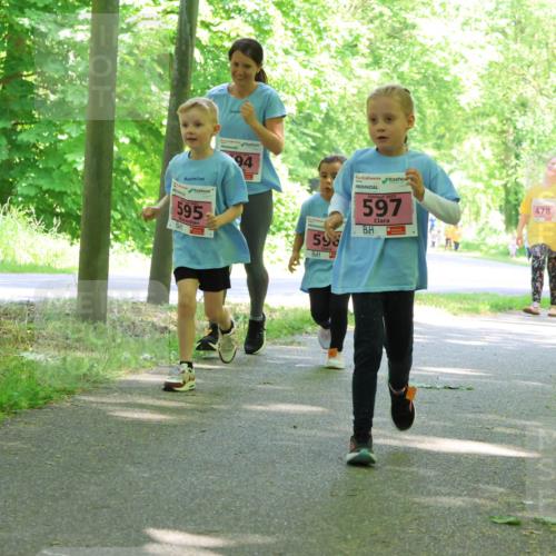 17.05.2025 - Störlauf Strokosch-Dieckow http://msf.ph/oto/7850282 17.05.2025 13:58:52 Laufen 595, 94, 598, 2025, 597, 478, 479 meine-sportfotos.de
