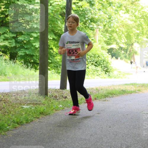 17.05.2025 - Störlauf Strokosch-Dieckow http://msf.ph/oto/7850302 17.05.2025 13:59:01 Laufen 655, 548 meine-sportfotos.de