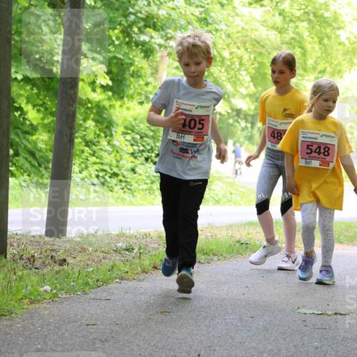 17.05.2025 - Störlauf Strokosch-Dieckow http://msf.ph/oto/7850305 17.05.2025 13:59:06 Laufen 405, 48, 548, 494, 2025, 495 meine-sportfotos.de