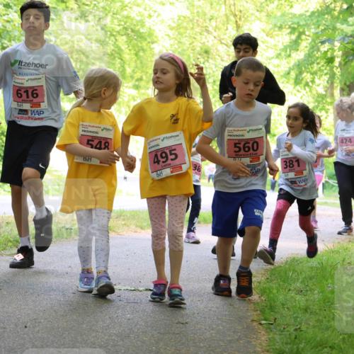 17.05.2025 - Störlauf Strokosch-Dieckow http://msf.ph/oto/7850317 17.05.2025 13:59:08 Laufen 616, 548, 2025, 495, 38, 2025, 560, 381, 424 meine-sportfotos.de