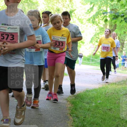 17.05.2025 - Störlauf Strokosch-Dieckow http://msf.ph/oto/7850354 17.05.2025 13:59:34 Laufen 2025, 462, 2025, 573, 533, 517 meine-sportfotos.de