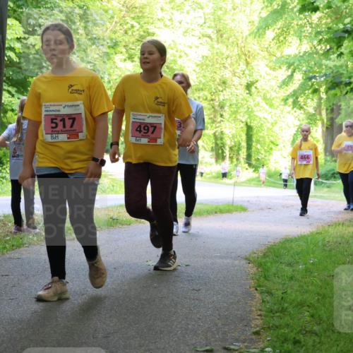 17.05.2025 - Störlauf Strokosch-Dieckow http://msf.ph/oto/7850360 17.05.2025 13:59:43 Laufen 517, 497, 466, 493 meine-sportfotos.de