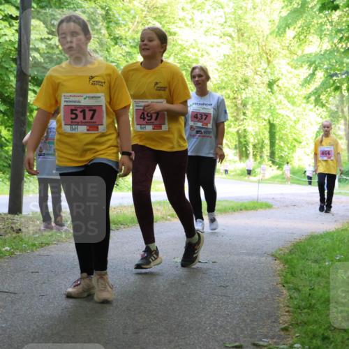 17.05.2025 - Störlauf Strokosch-Dieckow http://msf.ph/oto/7850363 17.05.2025 13:59:43 Laufen 517, 497, 437, 466, 493 meine-sportfotos.de