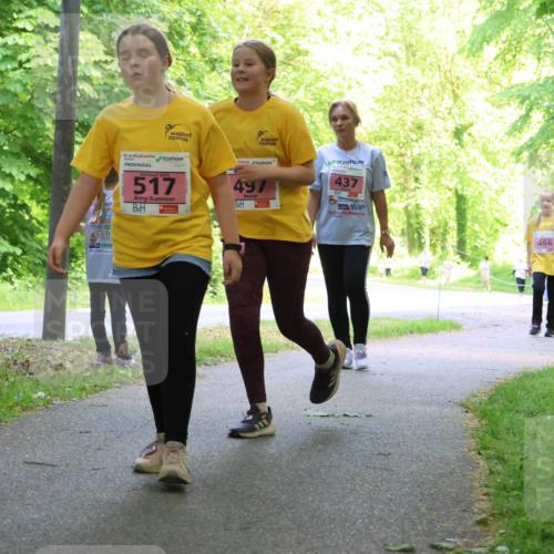 17.05.2025 - Störlauf Strokosch-Dieckow http://msf.ph/oto/7850365 17.05.2025 13:59:43 Laufen 517, 497, 437, 466, 493 meine-sportfotos.de
