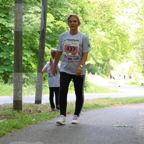 17.05.2025 - Störlauf Strokosch-Dieckow http://msf.ph/oto/7850375 17.05.2025 13:59:45 Laufen 437, 466 meine-sportfotos.de