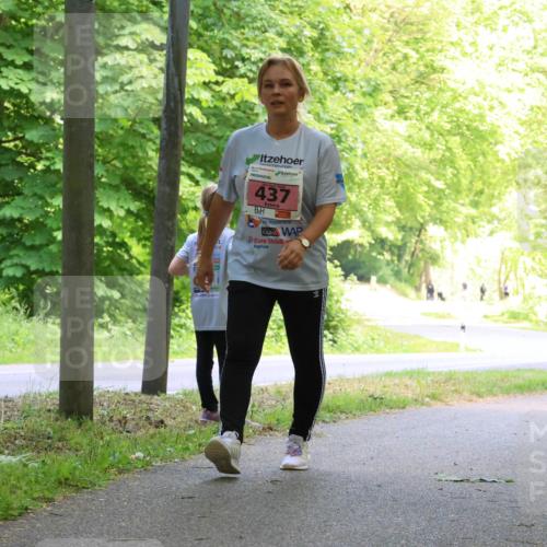 17.05.2025 - Störlauf Strokosch-Dieckow http://msf.ph/oto/7850376 17.05.2025 13:59:45 Laufen 437, 466 meine-sportfotos.de