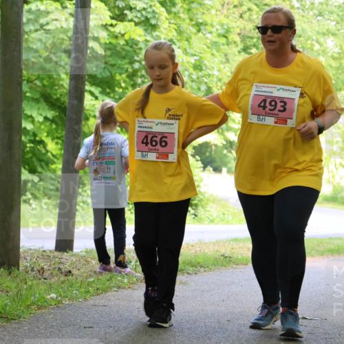 17.05.2025 - Störlauf Strokosch-Dieckow http://msf.ph/oto/7850386 17.05.2025 13:59:52 Laufen 2025, 493, 466, 4 meine-sportfotos.de