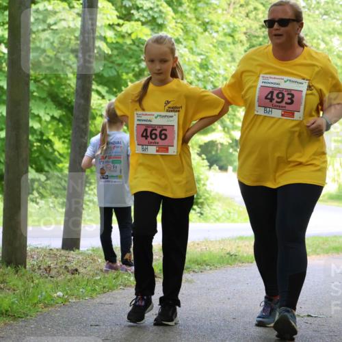17.05.2025 - Störlauf Strokosch-Dieckow http://msf.ph/oto/7850388 17.05.2025 13:59:52 Laufen 2025, 493, 466 meine-sportfotos.de