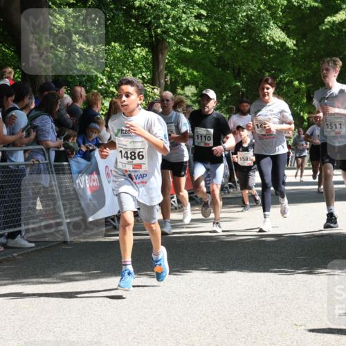 17.05.2025 - Störlauf Strokosch-Dieckow http://msf.ph/oto/7850411 17.05.2025 14:45:38 Ziel 1486, 1110, 1585, 14, 1511, 1096 meine-sportfotos.de