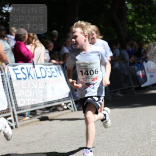 17.05.2025 - Störlauf Strokosch-Dieckow http://msf.ph/oto/7850467 17.05.2025 14:46:07 Ziel 1413, 1406 meine-sportfotos.de