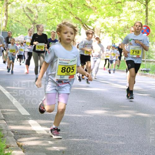 17.05.2025 - Störlauf Strokosch-Dieckow http://msf.ph/oto/7850481 17.05.2025 14:01:19 Laufen 746, 1216, 821, 70, 708, 929, 2025, 805, 718, 905, 900 meine-sportfotos.de