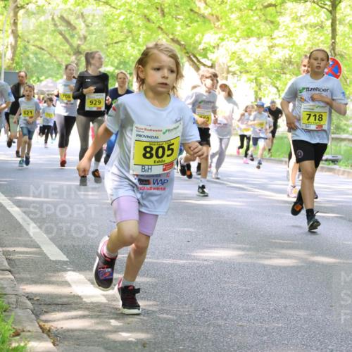 17.05.2025 - Störlauf Strokosch-Dieckow http://msf.ph/oto/7850483 17.05.2025 14:01:19 Laufen 746, 1216, 821, 142, 708, 929, 2025, 805, 718, 905 meine-sportfotos.de